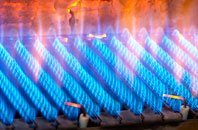 Penmaenpool gas fired boilers